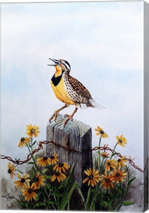 Framed Meadowlark 3 Print