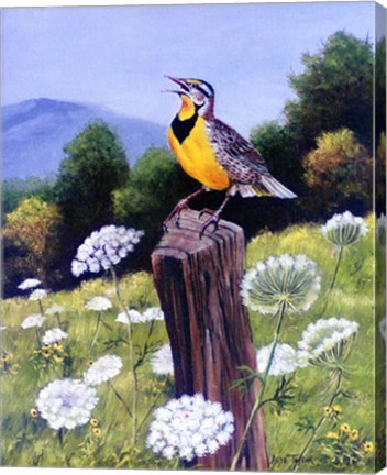 Framed Meadowlark Print