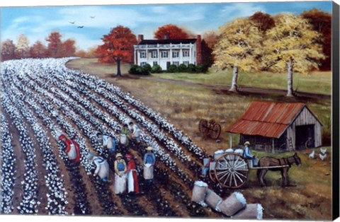 Framed Lincoln Cotton Field Print
