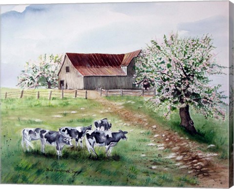 Framed Cows and a Barn Print
