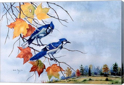 Framed Blue Jays Print