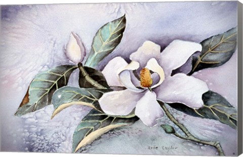 Framed Magnolia Blossom Print