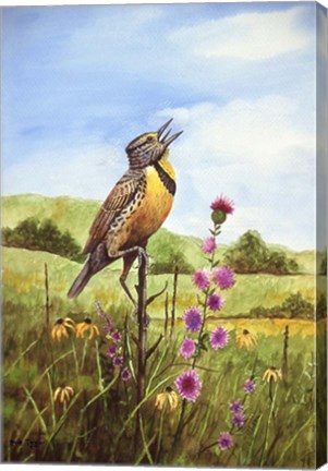 Framed Meadowlark 4 Print