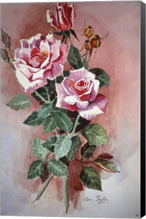 Framed Pink Roses Print