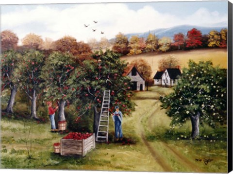 Framed Apple Orchard Print
