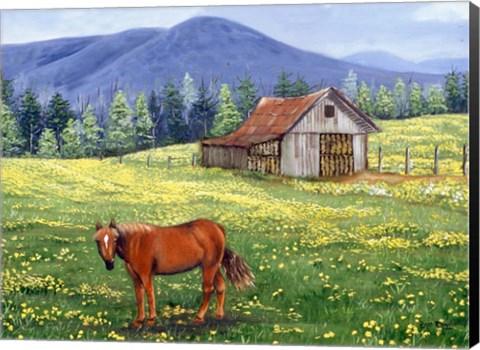 Framed Tobacco Barn Print