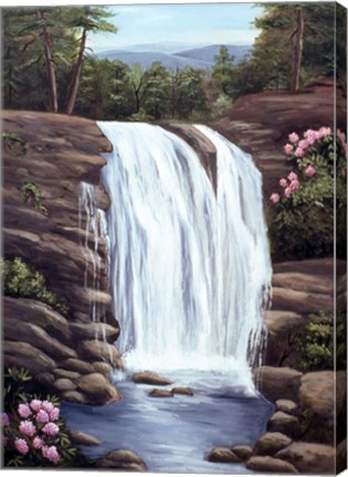 Framed Blue Ridge Waterfall Print