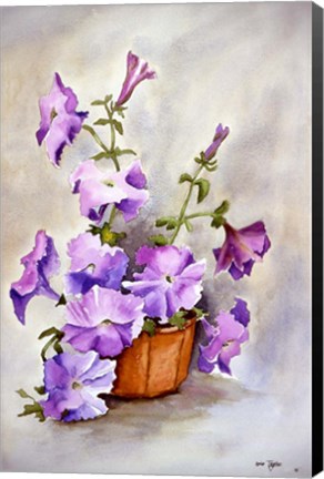Framed Petunia Print