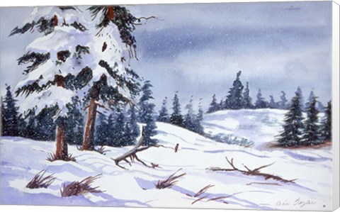 Framed Snow Print