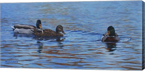 Framed Autumn Outing Mallards Print