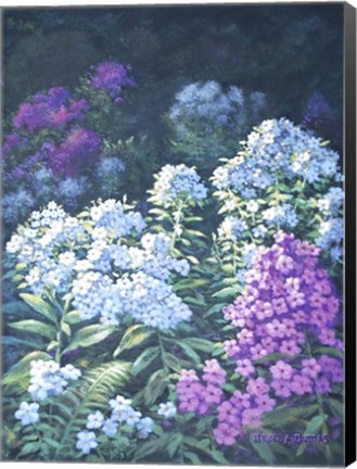 Framed Garden Bloom Print