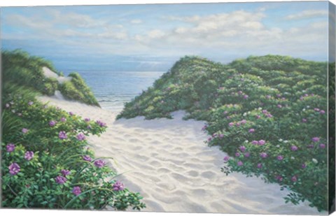 Framed Herring Cove Dunes Print