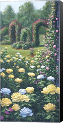 Framed Rose Garden Print