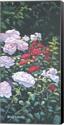 Framed Rosey Morning Print