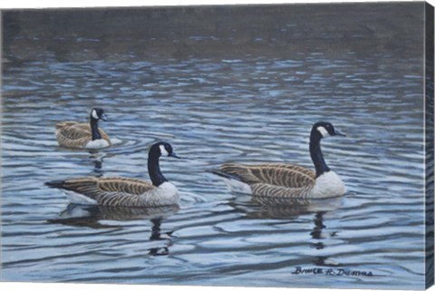 Framed Spring Break Print