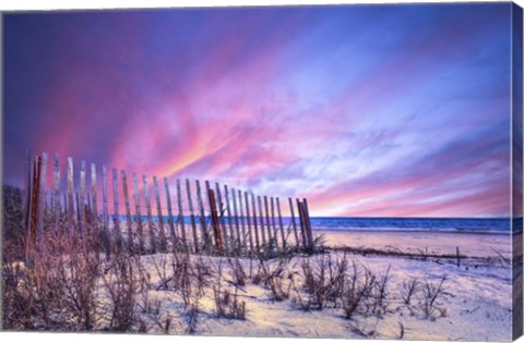 Framed Beach Fences Print