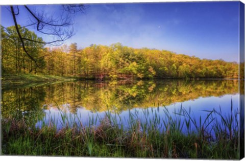 Framed In The Looking Glass Print