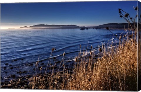 Framed Pacific Blues Print