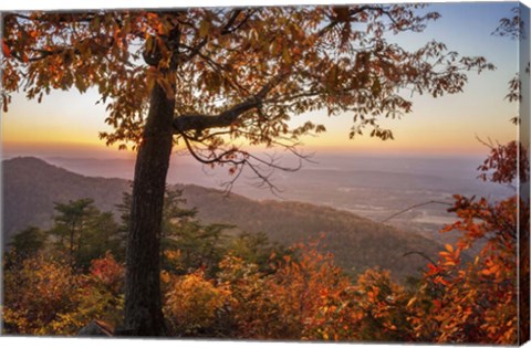 Framed Smoky Overlook Print