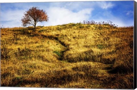 Framed Challenge Print