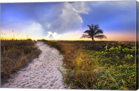 Framed Wildflowers On The Dunes Print
