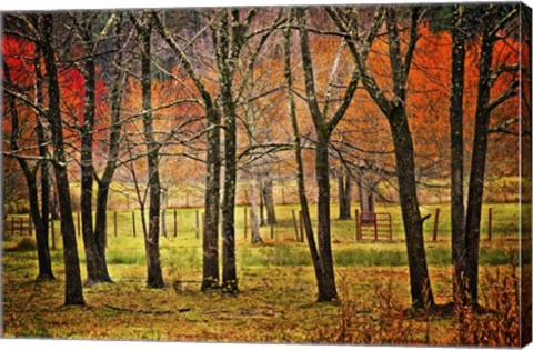 Framed Autumn Grove Print