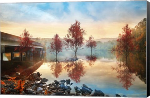 Framed Cypress Autumn Print