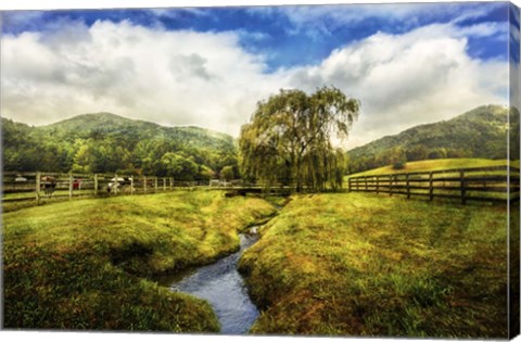 Framed Willow in Early Autumn Print