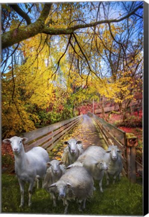 Framed Autumn Sheep Print
