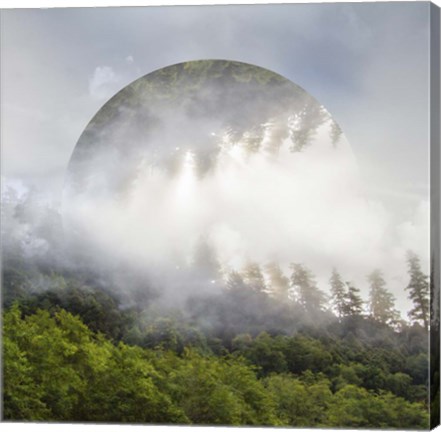 Framed Circle of Life Print