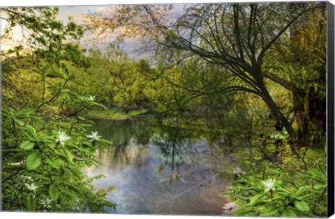 Framed Magnolia Overlook in Summer Print