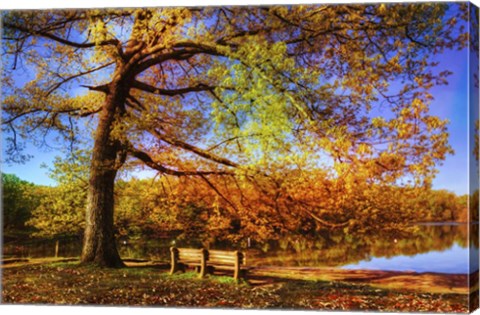 Framed I Will Wait for You in Fall Print