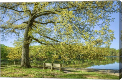 Framed I Will Wait for You in Spring Print