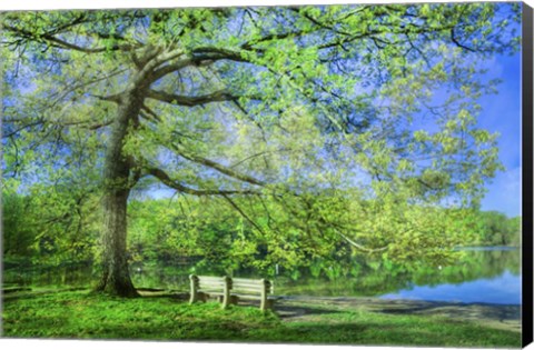 Framed I Will Wait for You in Summer Print