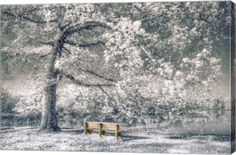 Framed I Will Wait for You in Winter Print