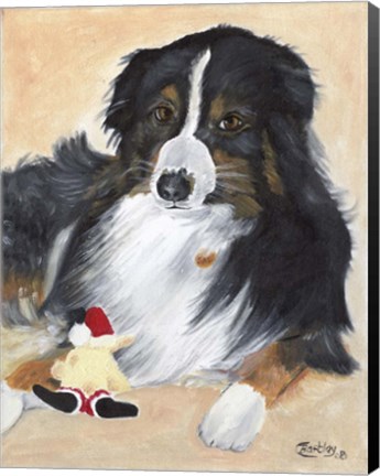 Framed Collie Sal and toy Print