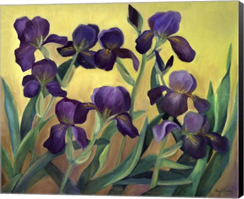 Framed Purple Bearded Iris Print