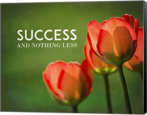 Framed Success And Nothing Less - Flowers Color Print