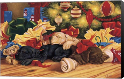 Framed Labs Sleep Print