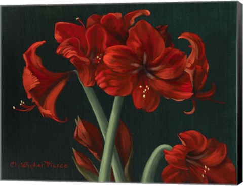 Framed Crimson Beauties Print