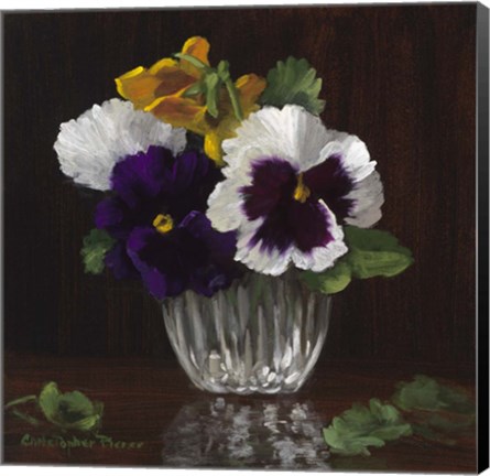 Framed Four Pansies Print