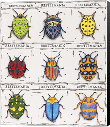 Framed Beetlemania Print