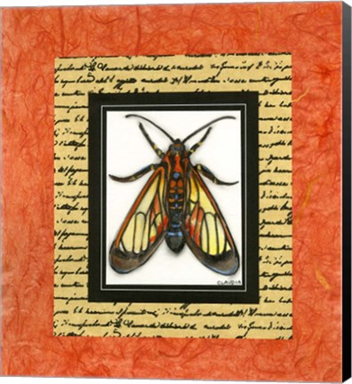 Framed Bugs II Print