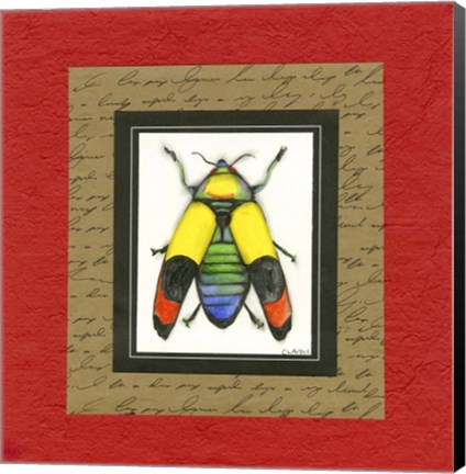 Framed Bugs IV Print