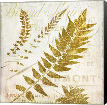 Framed Golda I Print