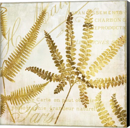 Framed Golda II Print