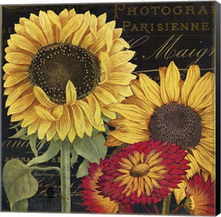 Framed October Sun I Print