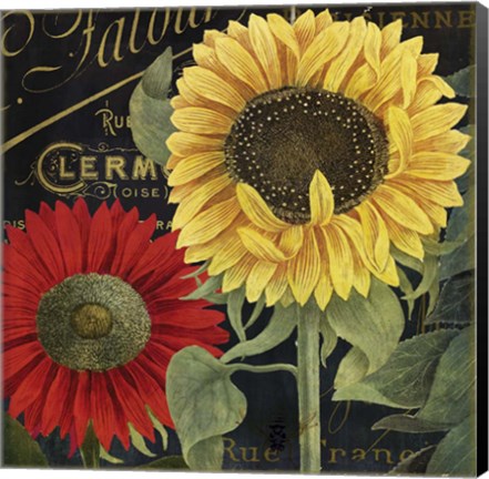 Framed October Sun II Print