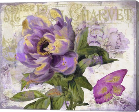 Framed Purple Peony Print