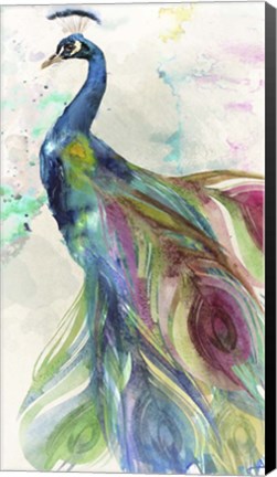 Framed Peacock Dress Print